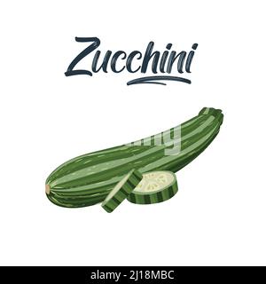 Zucchini is fresh. Squash whole, half with seeds and slice in cross section.Vegetable, ingredient, the element of packaging design for food, recipes Stock Vector