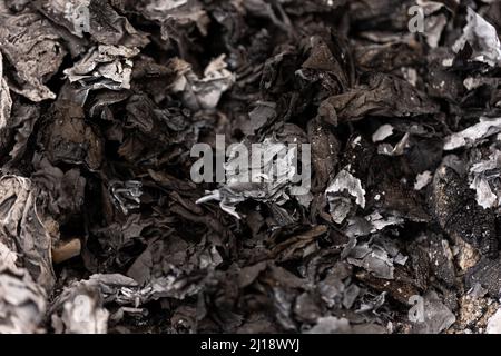 ash from freshly burned papers  Stock Photo