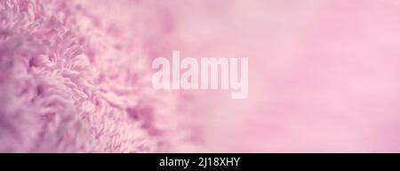 Wide macro horizontal shot of fabric as background with copy space. Textile super close-up with selective focus. Stock Photo