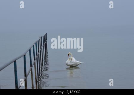 Images of the lake and city of Konstanz , Germany Stock Photo