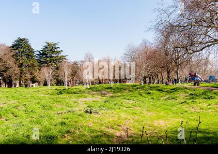 Central Park wild area, East Ham, Newham Stock Photo