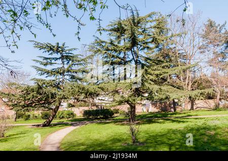 Central Park, East Ham, Newham Stock Photo