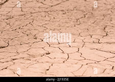 Dry, cracked desert ground texture close up. Stock Photo