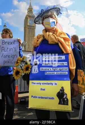 Westminster, London, UK. 23rd Mar, 2022. Protesters from Sodem (Stand in Defiance European Movement) rally outside Parliament in Westminster with flags and placards. The pro-EU group want to highlight problems with Brexit, as well as the failings of government. Credit: Imageplotter/Alamy Live News Stock Photo