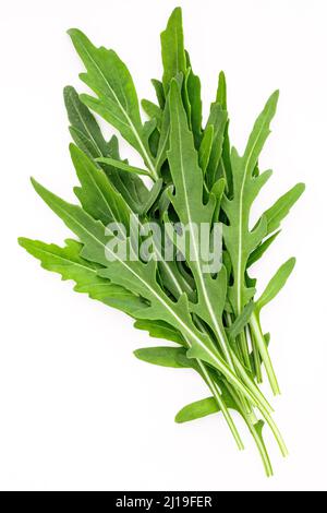 Roquette leaves hi-res stock photography and images - Alamy