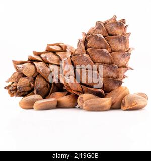 Close up pine nuts and pine cone isolated on white background. Stock Photo