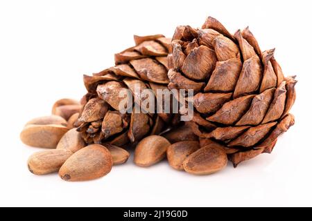 Close up pine nuts and pine cone isolated on white background. Stock Photo