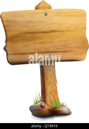 Single blank wooden signpost with screws on board ladybug on stone and green grass isolated vector illustration Stock Vector