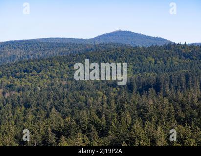 View from the tree top walk, Lusen in the back, Bavarian Forest, Bavaria, Germany Stock Photo