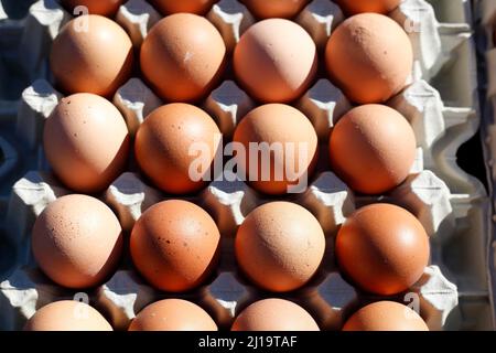 Fresh brown eggs in egg cartons at a market stall, Germany Stock Photo