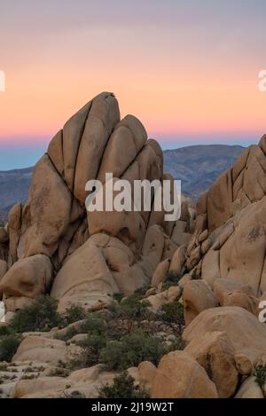 Joshua Tree National Park landscape in late afternoon, before sunset. Stock Photo