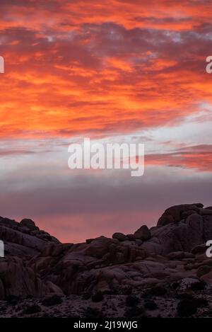 Incredible pink, orange sunset seen over desert landscape in Mojave Desert with purple, pastel tones. Stock Photo