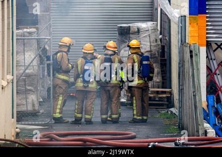 Serious Fire at Mitre 10 Store, Onehunga, Auckland, New Zealand, Monday, December 08, 2008. Stock Photo