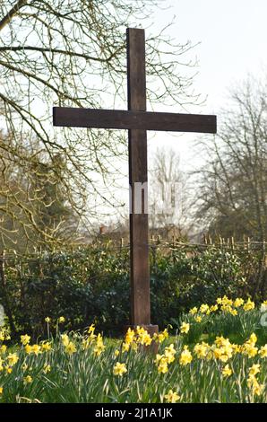 Cross with daffodils at St Andrews church in Great Linford, Milton Keynes. Stock Photo