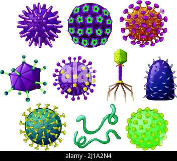 viral shapes. different shapes of viruses. diagram showing viruses ...