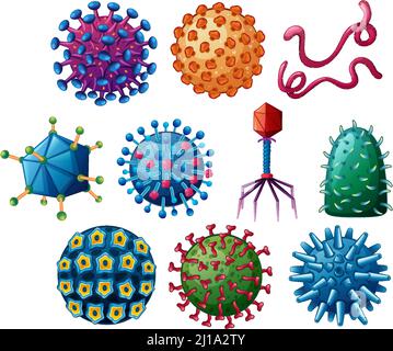 viral shapes. different shapes of viruses. diagram showing viruses ...