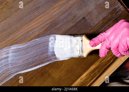 gloved hand varnishes with brush a stained pine furniture board at home Stock Photo