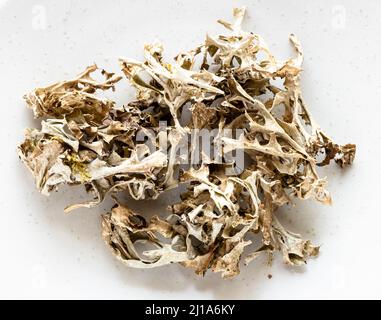portion of dried Iceland moss (Cetraria islandica) close up on gray plate Stock Photo