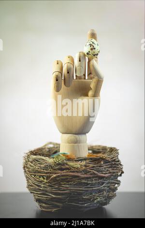 Close up of Quail eggs nest and wooden hand, Easter holiday  concept. Stock Photo