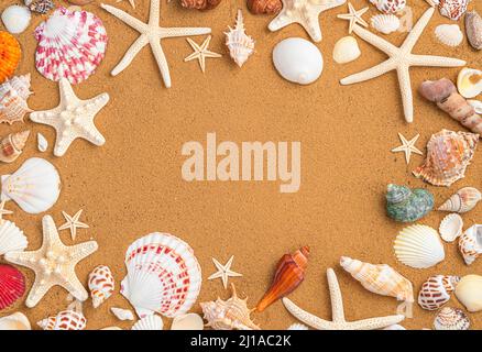 Background with shells and sand. Different types of shells on the sand. Top view, horizontal. Stock Photo