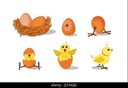 Cute chick hatching set. Chicken nest with egg, broken egg shell, baby bird. Vector illustration for farming, Easter, poultry concepts Stock Vector