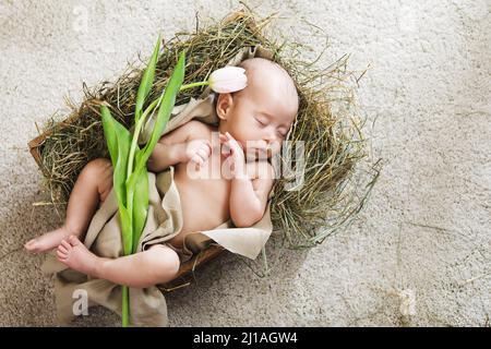 Cute little baby is lying in the wooden box with tulip flower Stock Photo