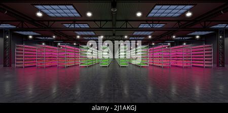 Hydroponic indoor vegetable plant factory in exhibition space warehouse. Interior of the farm hydroponics. Green salad farm in hydroponics. Lettuce Ro Stock Photo