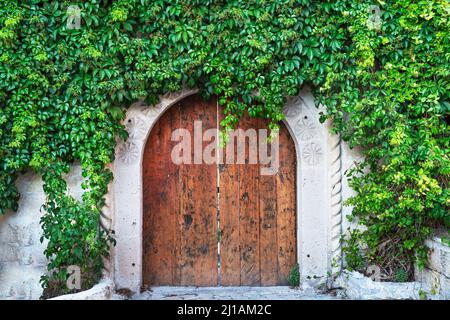 Wooden Rustic ancient gates with green grass Stock Photo