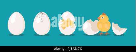 Hatching bird process set. Baby chicken birth from egg. Flat vector illustrations can be used for farming, poultry, Easter concept Stock Vector