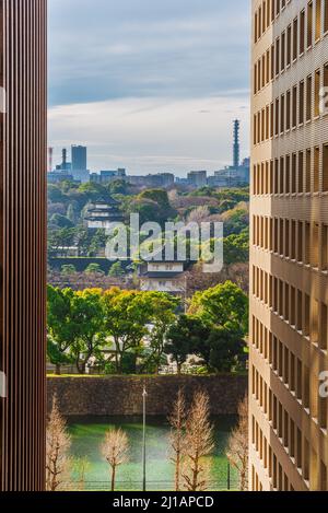 Tradition and Modernity in Japan. View of Imperial Palace gardens through two modern skyscrapers in central Tokyo Stock Photo