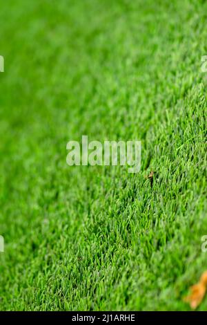 Artificial turf green grass. Used selective focus. Stock Photo