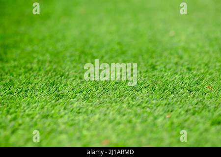 Green lawn background covered full frame. Used selective focus. Stock Photo