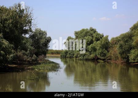 Biosphärenreservat Donaudelta, bei Tulcea, Rumänien  /  Danube Delta Biosphere Reserve, near Tulcea, Romania (Aufnahmedatum kann abweichen) Stock Photo