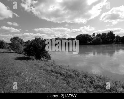 A grayscale shot of a lake surrounded by trees against a cloudy sky Stock Photo