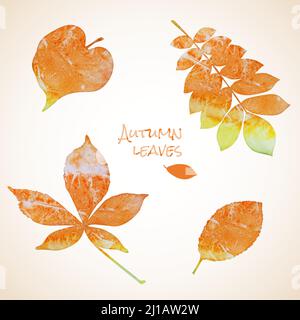 Colorful set of watercolor grunge leaves silhouettes Stock Vector