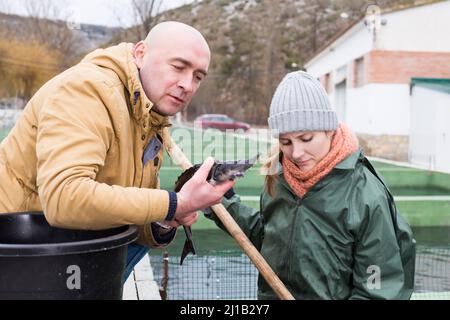 Owner of sturgeon farm with worker inspecting fish Stock Photo