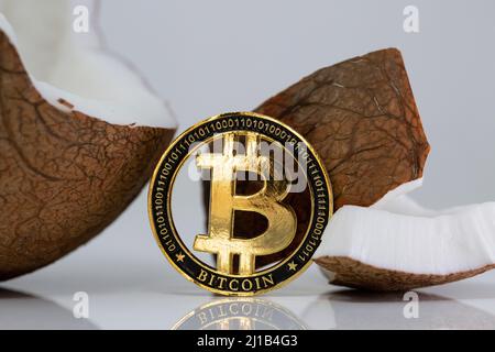 Bitcoin BTC cryptocurrency physical coin placed next to broken coconut on the white reflective table. Macro shot. Stock Photo
