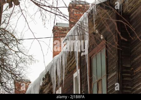 Dangerous transparent icicles hang on the edge of the roof. Against the background of the wooden wall of the old house. Large cascades, even beautiful rows. Cloudy winter day, soft light. Stock Photo