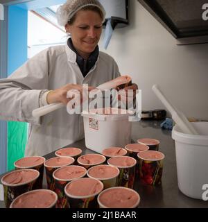 TRADITIONALLY-MADE ICE CREAMS, LES GLACES A LA FERME, EURE, NORMANDY, FRANCE Stock Photo