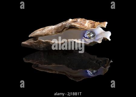 CONCEPTUAL PHOTO SHOWING THE EARTH IN AN OYSTER LIKE A RARE AND PRECIOUS PEARL, PHOTO EXHIBITION ‘TERRE FRAGILE’ TO RAISE AWARENESS ABOUT HUMANKIND'S IMPACT ON THE PLANET, FRANCE, WORLD Stock Photo