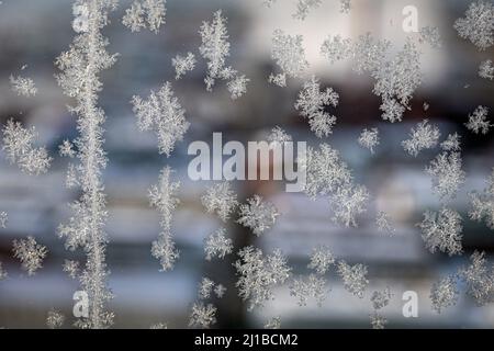 FROST ON THE WINTERS, ICE IN FREEZING WINTERS, TAMPERE, FINLAND, EUROPE Stock Photo