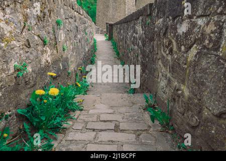 an old stone path between  two walls in the park Stock Photo