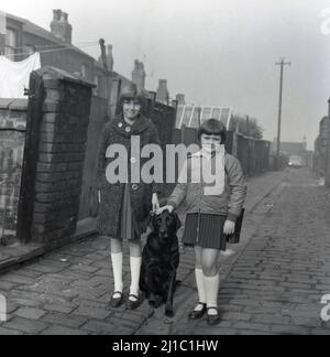 1962, historical, two girls, sisters, in their school clothes and coats, standing for a photo with their pet dog in a cobbled back alley behind a row of victorian terraced housing, Stockport, Manchester, England, UK. Stock Photo