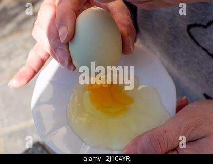 blow out white egg for Easter Stock Photo