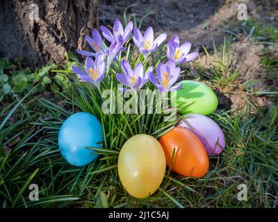 Easter eggs with flowers in the garden Stock Photo