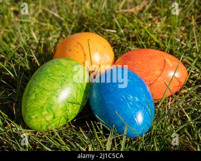 Easter eggs in the garden for decoration Stock Photo