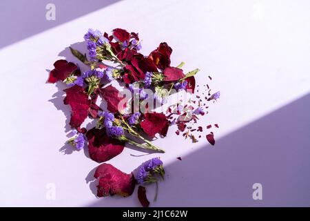 Dried blue flowers and rose petals on the purple background Stock Photo