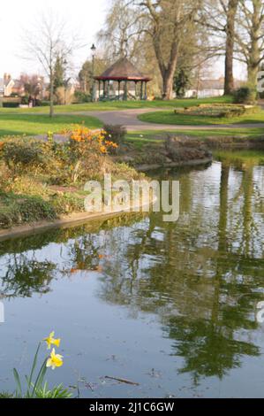 Halstead Public Gardens, Halstead, Essex. These gardens are in a formal Victorian style and include a pond and bandstand Stock Photo