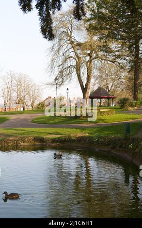 Halstead Public Gardens, Halstead, Essex. These gardens are in a formal Victorian style and include a pond and bandstand Stock Photo