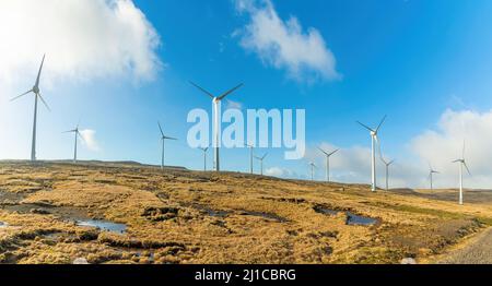 A large group of wind turbines on the Faroe Islands Stock Photo